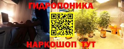 герыч Новодвинск