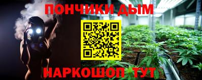 шишки Новозыбков