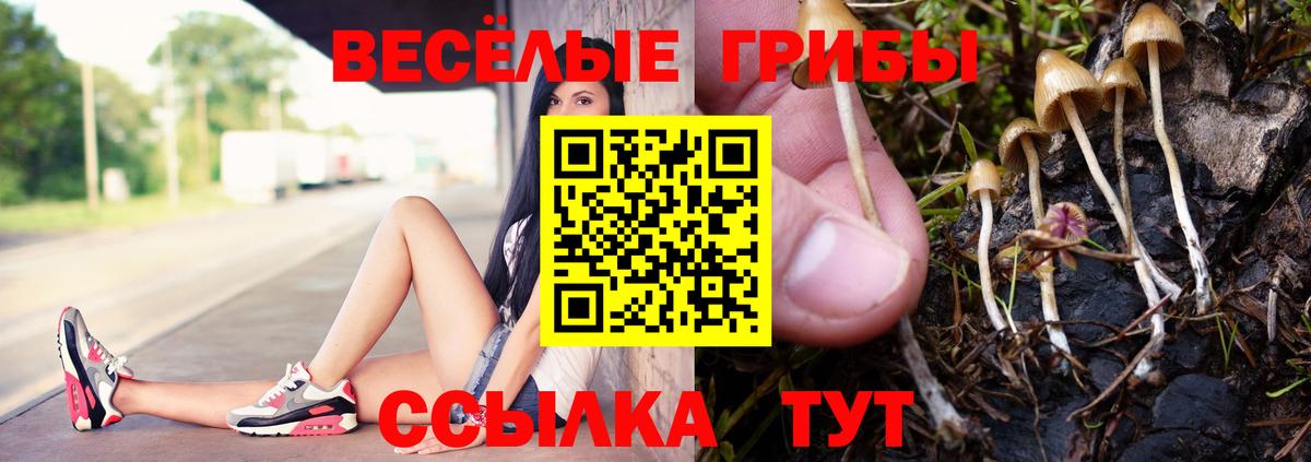 Псилоцибиновые грибы Psilocybe  Вход с VPN  Сергиев Посад 